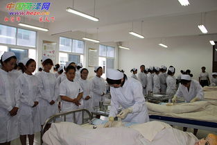 家政服务朝阳产业新探索 家庭劳务服务的未来之路